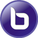BigBlueButton Web Conferencing